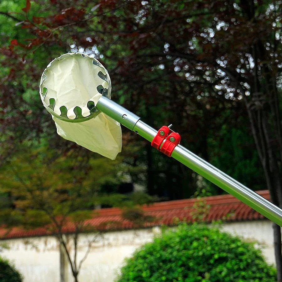 Bonsai Garden Tree - Kit Ajustável para Colheita de Frutas