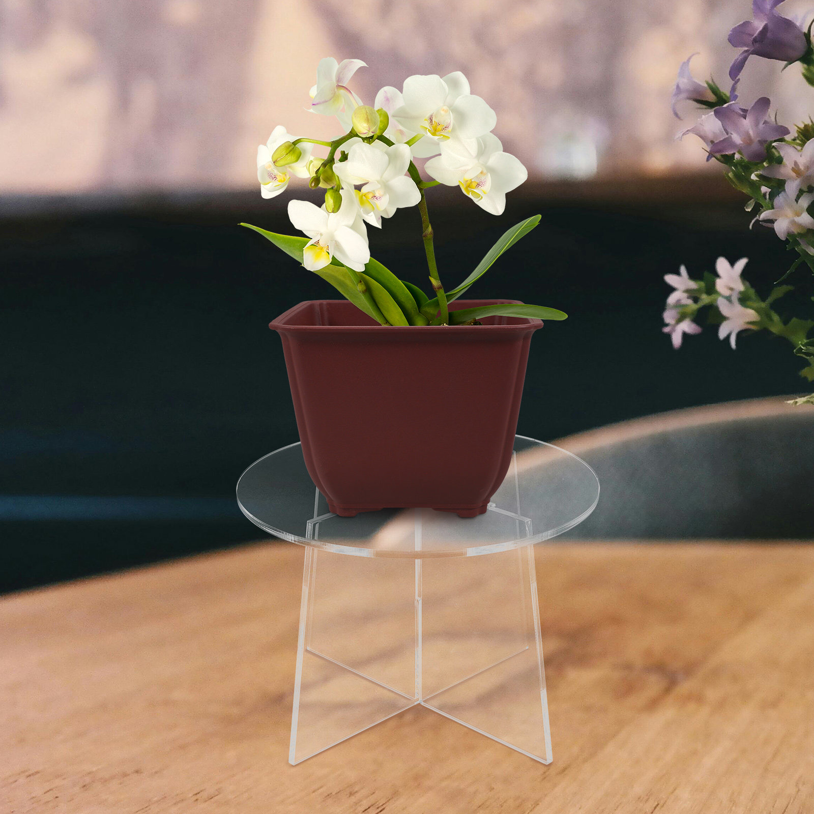 Bonsai Garden Display Stands - Suporte de Acrílico para Plantas Suculentas