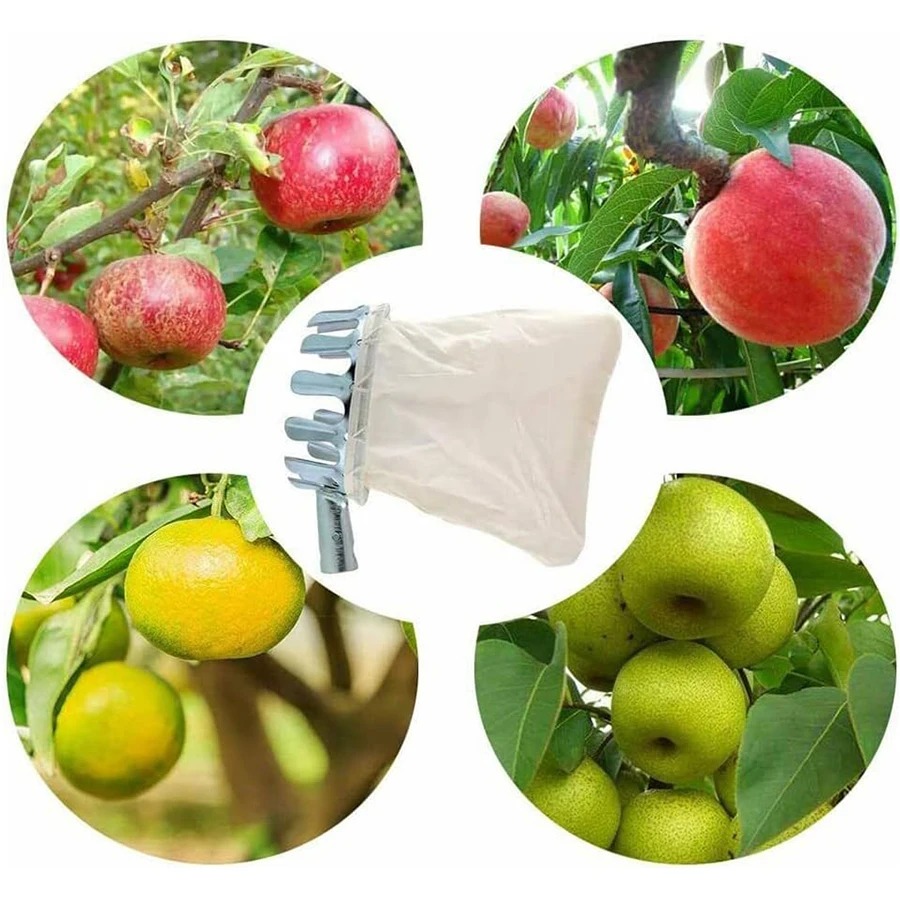 Kit Ajustável para Colheita de - Bonsai Garden Tree avaliação e preço