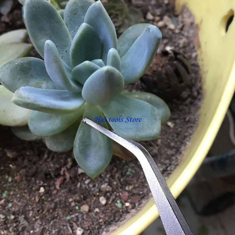 X37E 2 1 Rake jardinagem Espat - Bonsai Garden Shop avaliação e preço