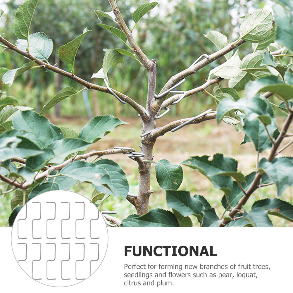 1 Conjunto de Ferramentas para - Bonsai Garden Tree avaliação e preço
