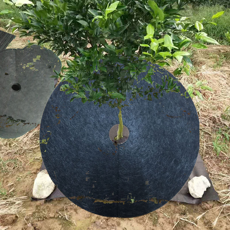 Anéis de mulch de árvore não t - Bonsai Garden Tree avaliação e preço