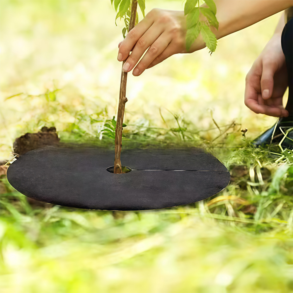 Anel de Cobertura Não Tecido p - Bonsai Garden Tree avaliação e preço